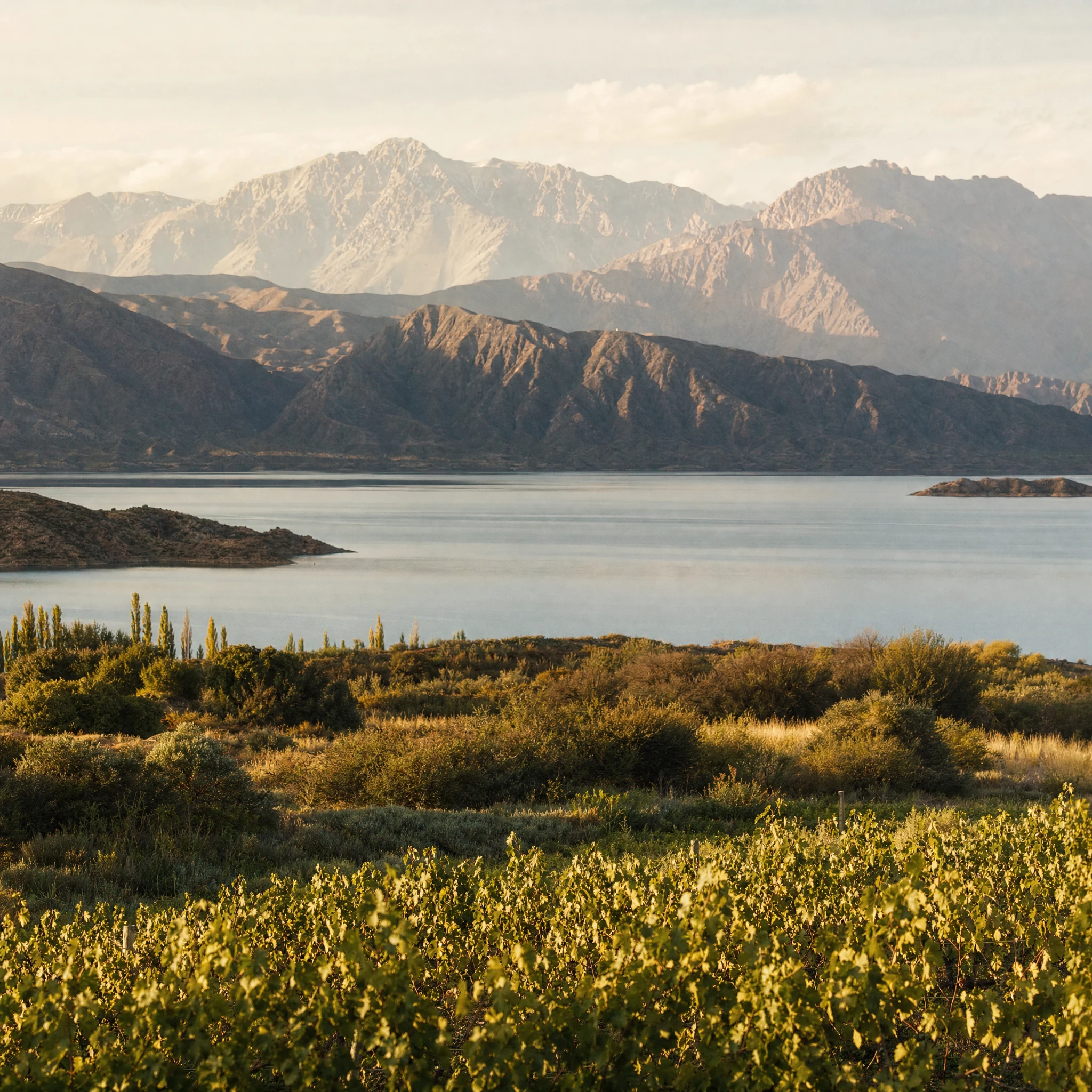 Montañas y lago de Potrerillos al atardecer